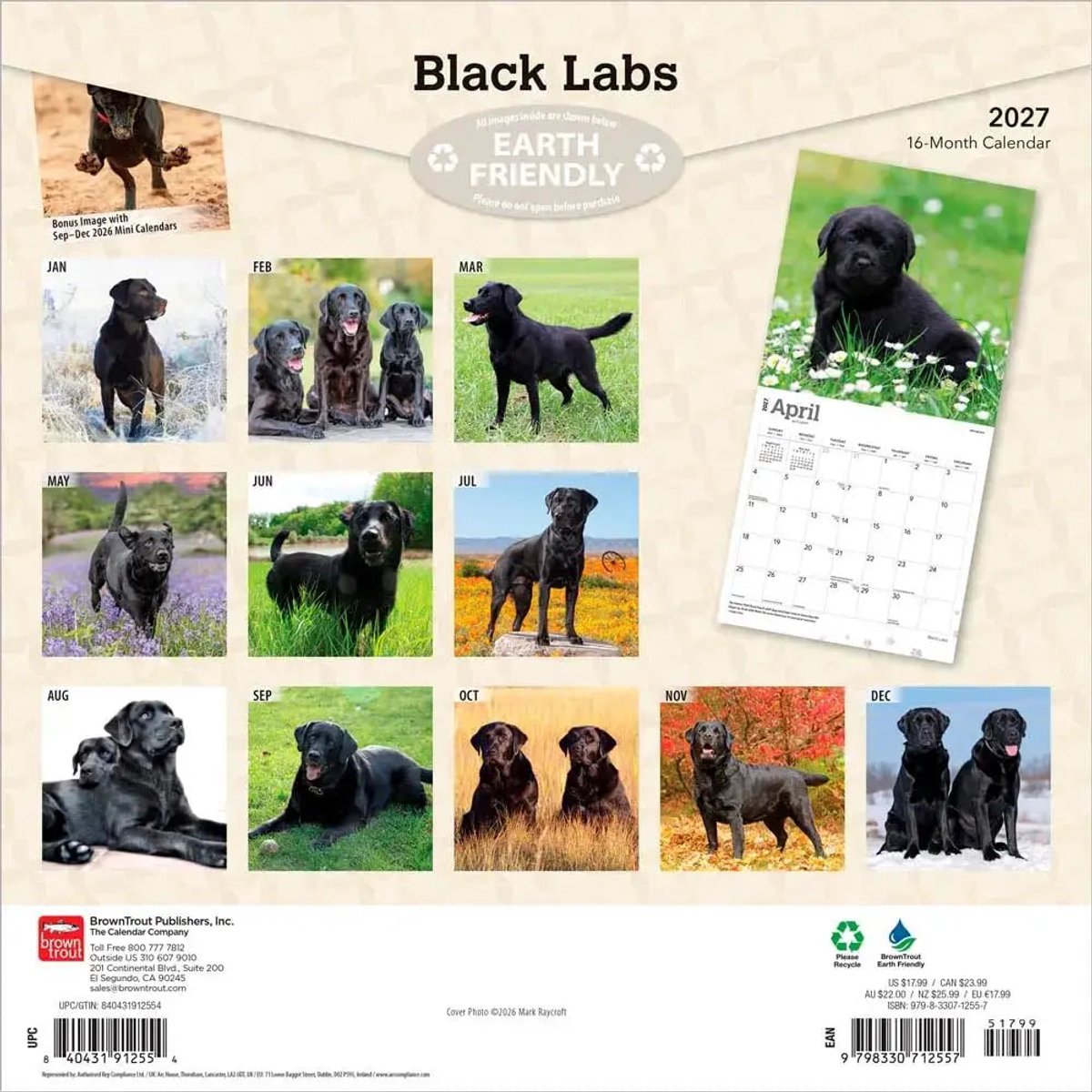 Labrador Retriever Zwart Kalender 2027