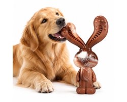 VHV - hondenspeelgoed taai nylon - onverwoestbaar kauwspeelgoed hond - sterk hondenspeelgoed - honden speelgoed - mondhygiëne verbeteren - met rundvleessmaak - 18 cm