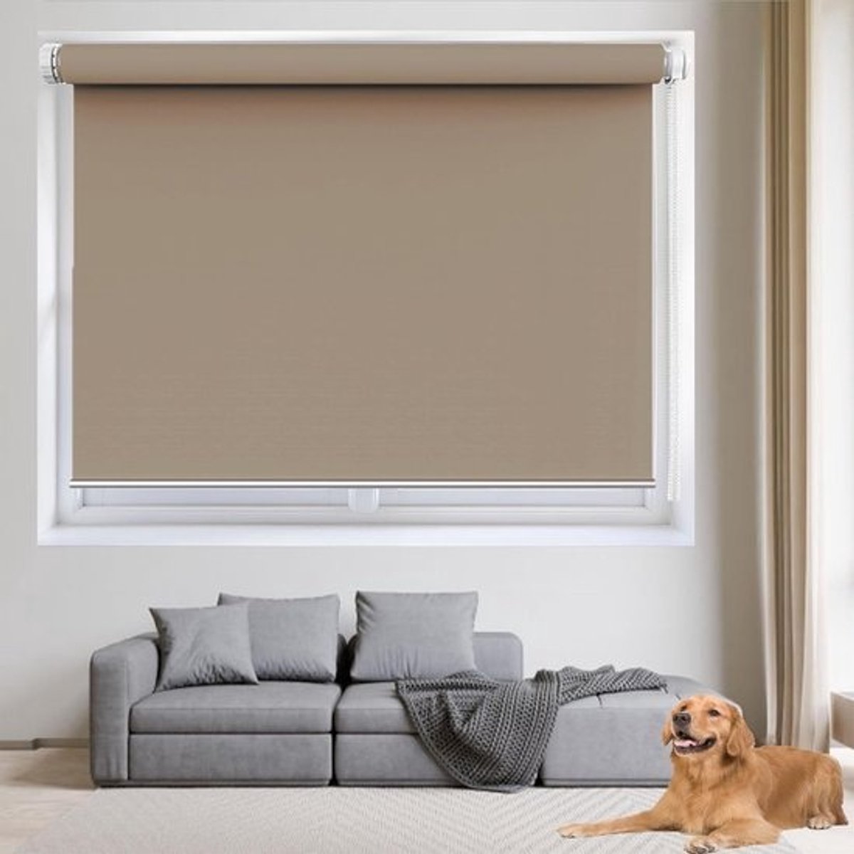 Rolgordijn - Zonder boren - Privacygordijn - Voor kantoor en thuis - Antivalmechanisme - 35 x 190 cm - Bruin