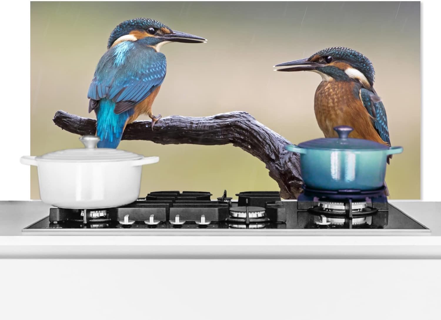Spatscherm Keuken - 100x50 cm - IJsvogels - Blauw - Oranje