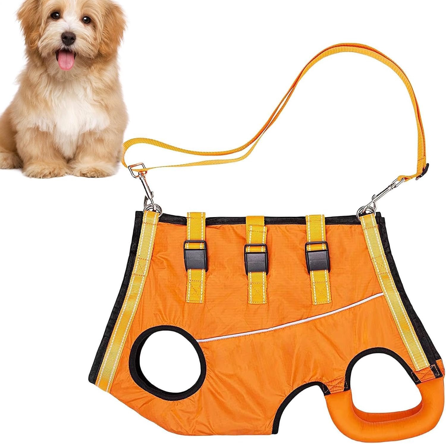 Hondentuigje Dierenbenodigdheden Feestartikelen Accessoires