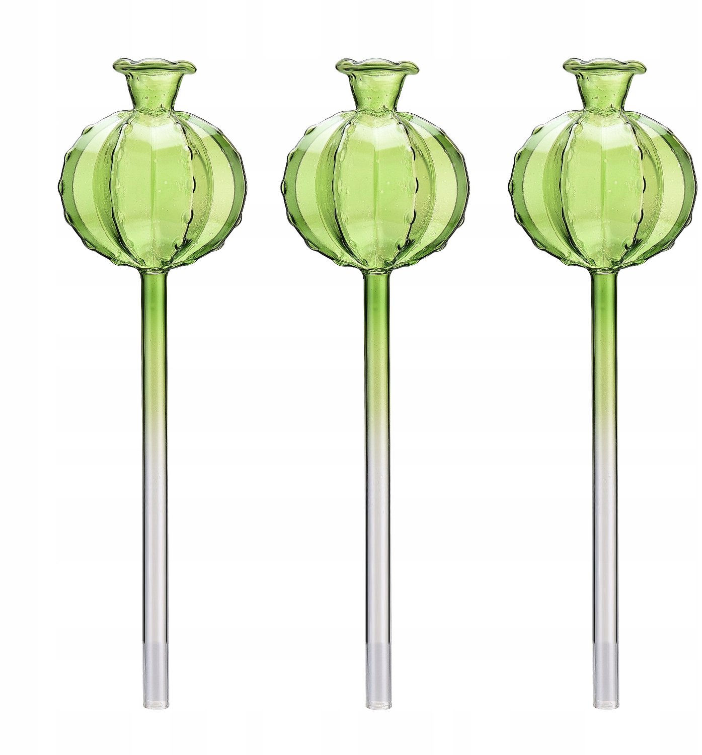 Set van 3 Zelfwatergevende Plantenbollen - Automatische Watergift
