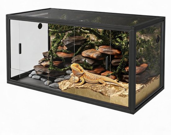 Zwart glazen terrarium met een baardagaam in een ingerichte habitat met stenen en mos.