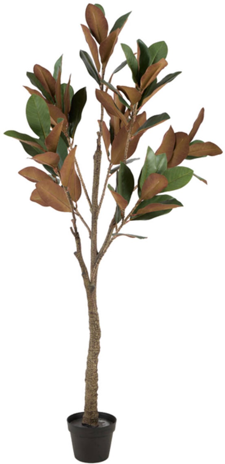 Light&living Kunstboom Ø55x150 cm MAGNOLIA groen+bruin