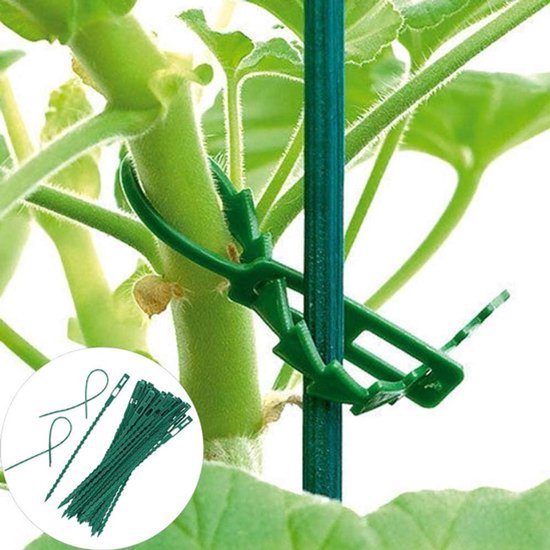 KZQ 100 Stuks verstelbare plantenbinders – multifunctionele plantenbinders – visgraatmodel plantenbinders – tuingereedschap – stevige maar flexibele kunststof binders – herbruikbaar – 17 cm — afbeelding 5
