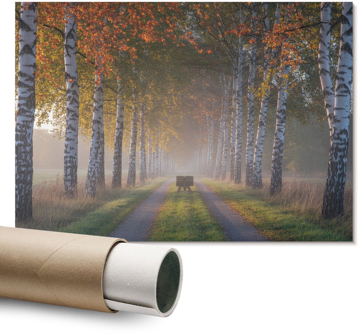 Coloray Polycanvas Wandposter – Bossteeg, Groen – A1 – Blauw Decoratie – Rechthoek – Muurdecoratie – Kantoor – Modern