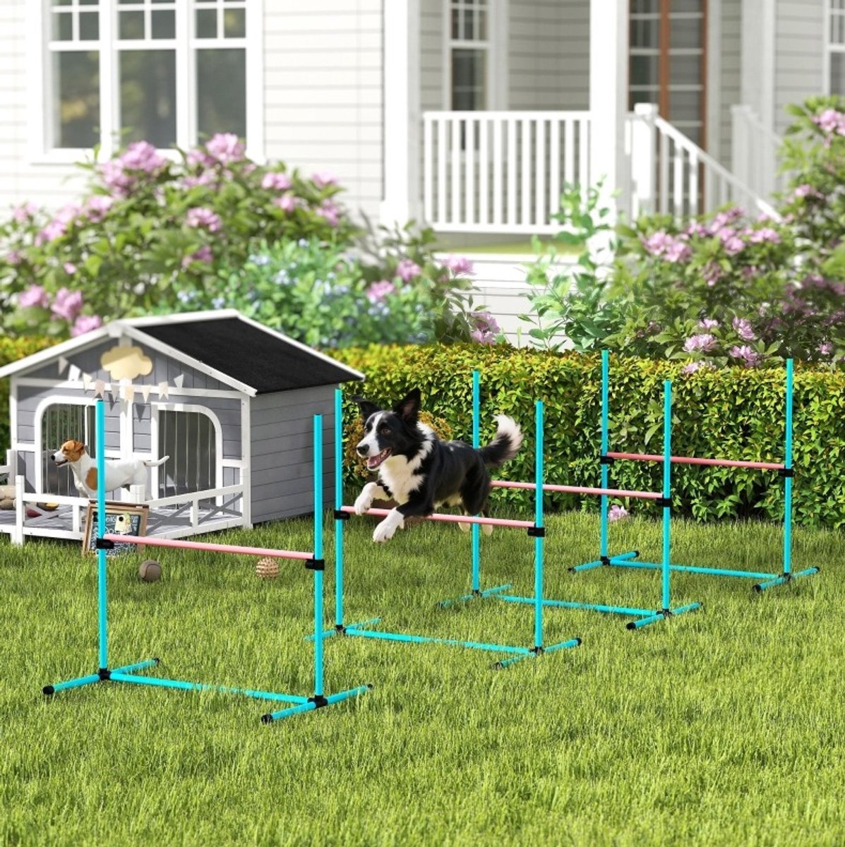 MODFU - Honden Agility Set - Hoogteverstelbaar - 4 Horden - Lichtblauw