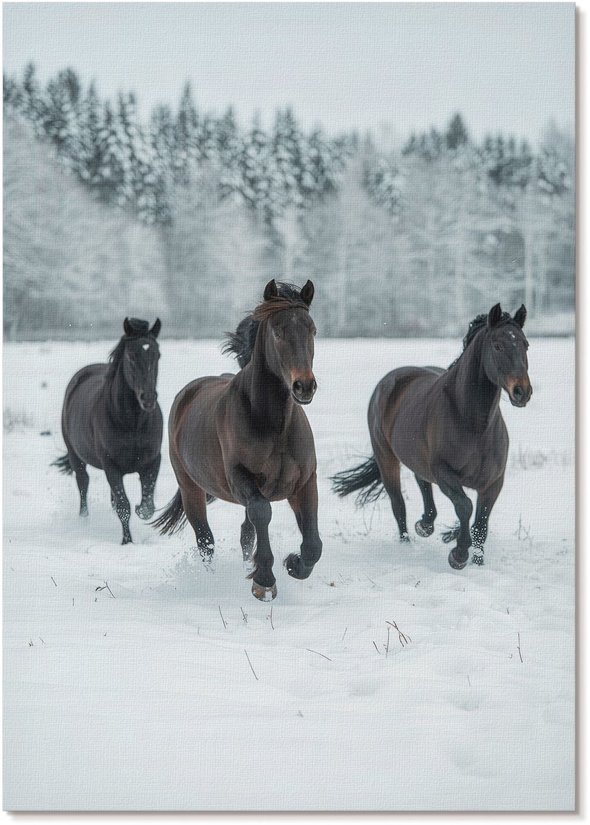 Tulup Polycanvas Poster - Winterpaarden, Fotografie - A4 - Zwart Wandposter - Rechthoek - Wandkunst - Woonkamer, Slaapkamer, Kantoor - Klassiek