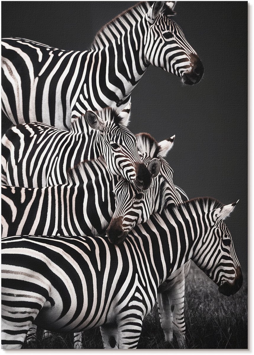 Tulup Polycanvas Poster - Zebrasafari, Fotografie - A4 - Zwart-wit Wanddecoratie - Rechthoek - Decoratieve poster - Woonkamer, Slaapkamer, Kantoor - Modern