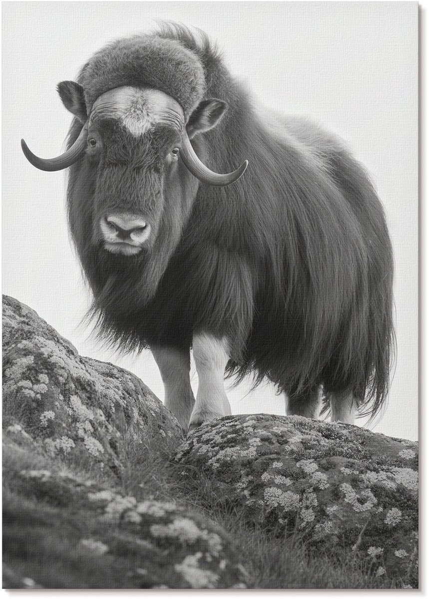 Tulup Canvas Poster Polycanvas - Buffel Op De Heuvel, Fotografie - A4 - Zwart-wit Poster - Rechthoek - Muurdecoratie - Woonkamer, Slaapkamer, Kantoor - Klassiek