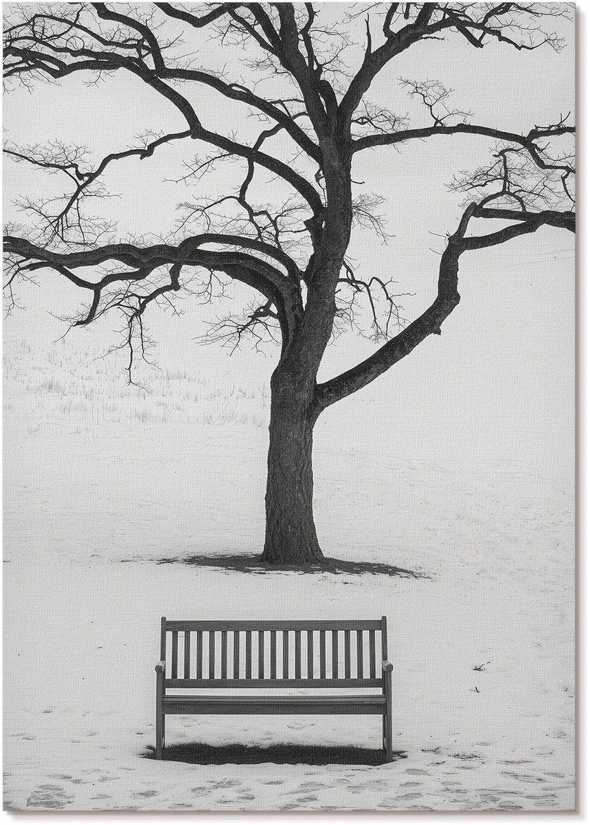Tulup Polycanvas Wandposter - Winterse Vrede, Fotografie - A4 - Zwart-wit Kunst - Rechthoek - Muurkunst - Woonkamer, Slaapkamer, Kantoor - Minimalist
