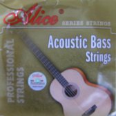 acoustic bass strings