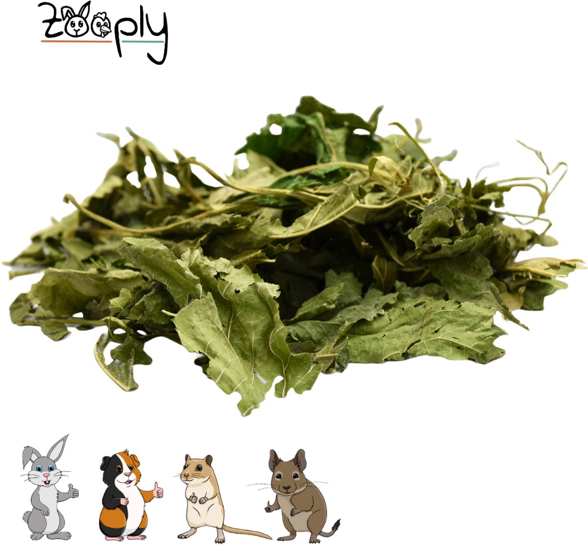Zooply Moerbeiblad - Kruiden & Snacks - 100% natuurlijk - Voor konijnen & cavia's - 350 gram