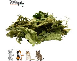 Zooply Moerbeiblad - Kruiden & Snacks - 100% natuurlijk - Voor konijnen & cavia's - 350 gram