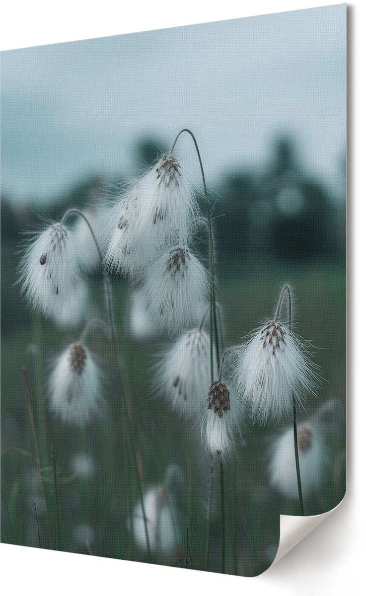 Coloray Polycanvas Poster - Een Mok Bier, Fotografie - A2 - Geel Motief - Rechthoek - Decoratieve poster - Woonkamer, Slaapkamer, Kantoor - Modern