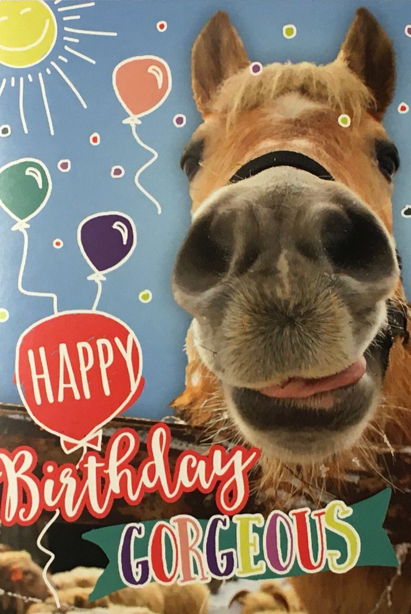 Luxe Wenskaart Verjaardag - Wenskaarten - Verjaardagskaart - Jarig - Birthday - Geburtstag - Anniversaire - Serie Bowie H. - Artige - Kaart - 1 Stuks - In Folie - Gratis Verzonden - Hoge Afnamekortingen - 12x17cm
