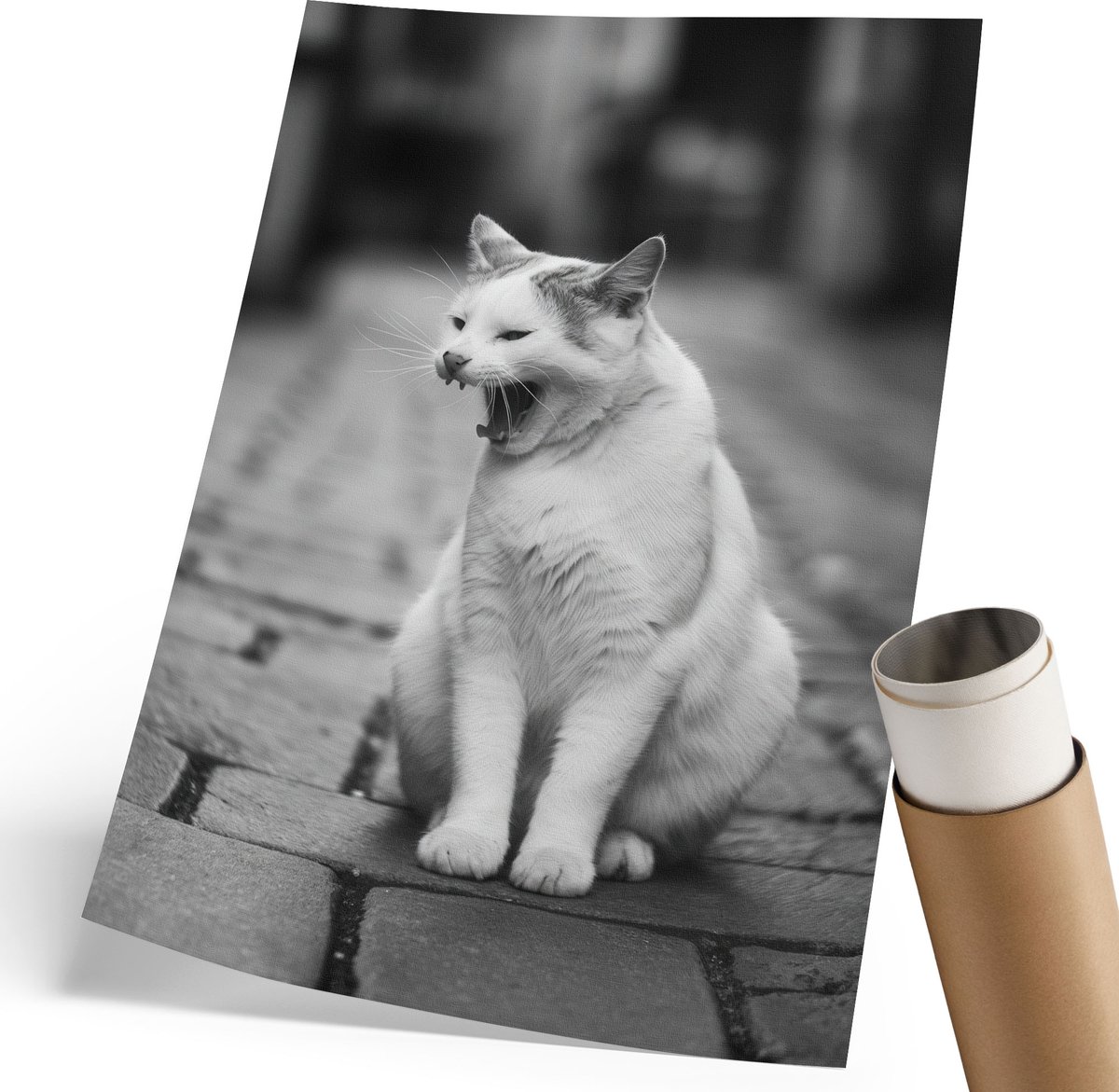 Coloray Polycanvas Poster - Gapende Kat, Fotografie - 210 x 297 mm - Zwart-wit Wandposter - Rechthoek - Kunstposter - Woonkamer, Slaapkamer, Kantoor - Klassiek