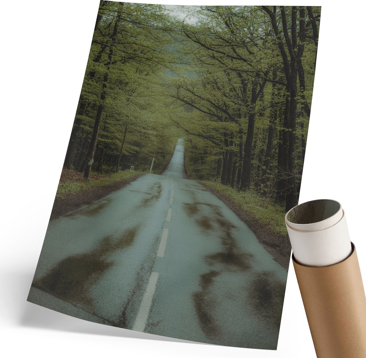 Coloray Polycanvas Wandposter - Bosreis, Fotografie - 210 x 297 mm - Groen Illustratie - Rechthoek - Wandkunstwerk - Woonkamer, Slaapkamer, Kantoor - Klassiek