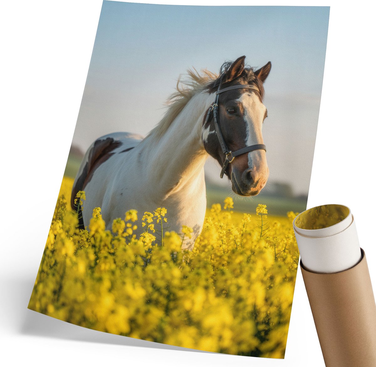 Coloray Canvas Poster Polycanvas - Een Paard In Een Veld, Fotografie - 210 x 297 mm - Geel Decoratie - Rechthoek - Decoratieve poster - Woonkamer, Slaapkamer, Kantoor - Klassiek