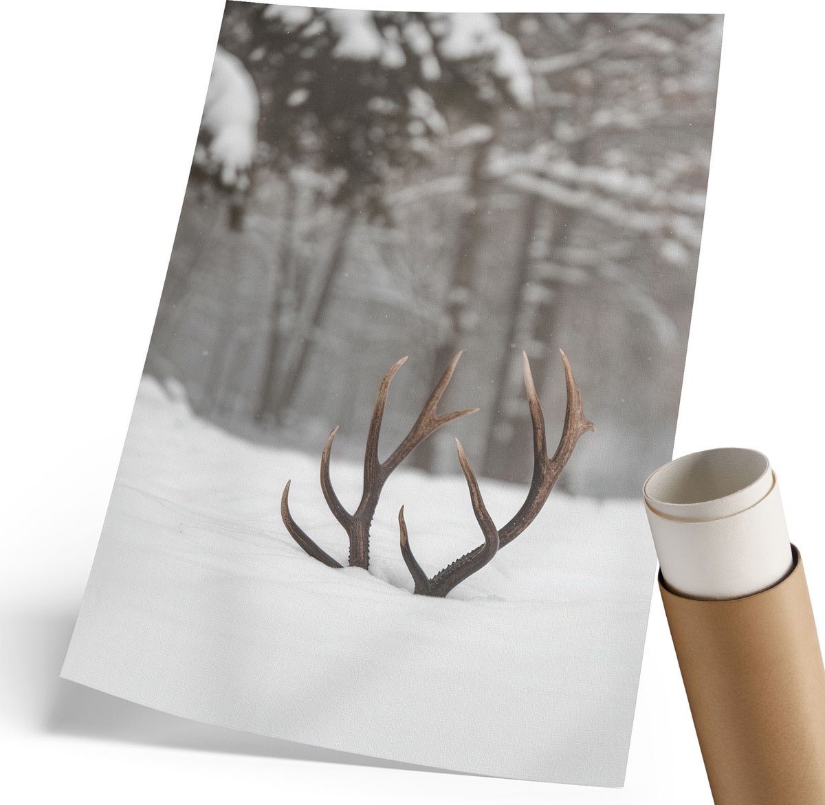 Coloray Polycanvas Poster - Geweien In De Sneeuw, Fotografie - 210 x 297 mm - Wit Wanddecoratie - Rechthoek - Wandkunst - Woonkamer, Slaapkamer, Kantoor - Klassiek
