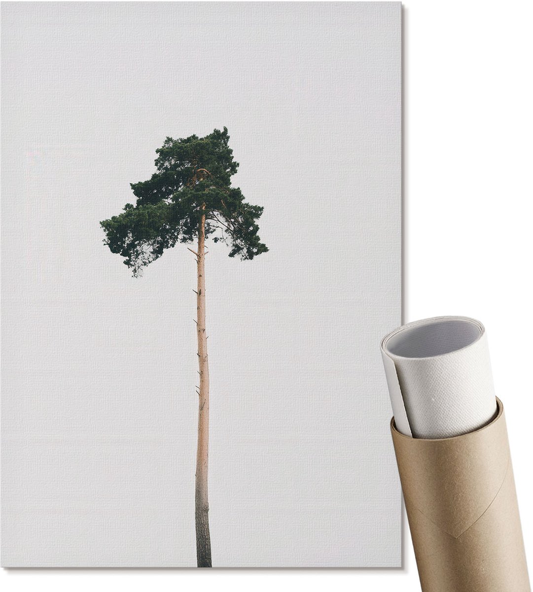 Coloray Polycanvas Poster - Eenzame Boom, Fotografie - A4 - Wit Wandposter - Rechthoek - Decoratieve poster - Woonkamer, Slaapkamer, Kantoor - Minimalist
