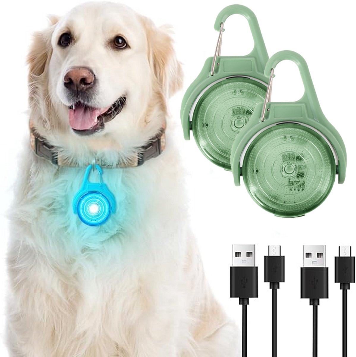 Honden Halsband Lampje - 2 Stuks - Flasher - Veiligheidslampje Hond - Waterdicht Gloeiend - Halsbandverlichting - Ophangbaar - Honden Lampje - Geschikt Voor Huisdieren Nachtwandelingen, Buitenshuis - Oplaadbaar via USB - Groen