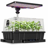 Zwarte LetPot kweekbak met transparante kap, gevuld met groene plantjes en verlicht door een full-spectrum LED kweeklamp met veelkleurige lampjes.