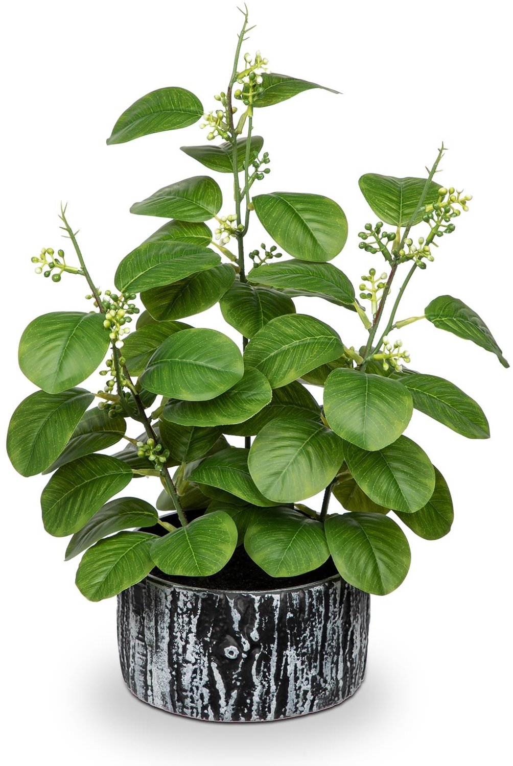 Kunstplant Ficus in Zwart/Witte Pot voor Binnen