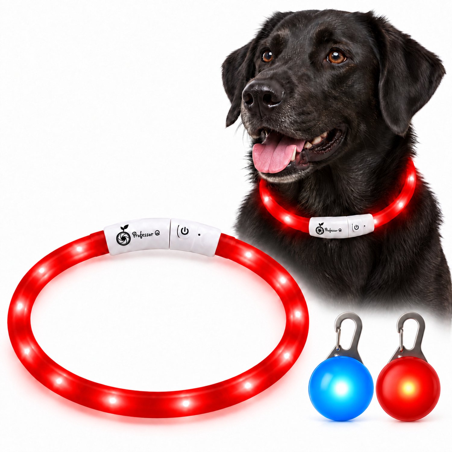 Professor Q LED Hondenhalsband Set - Rood M 51 cm - USB Oplaadbaar - 3 Lichtstanden - Met Blauw en Rood LED Lampje
