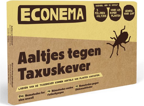 Econema verpakking met 5 miljoen aaltjes tegen taxuskever, geschikt voor 25+ kamerplanten en 10m².