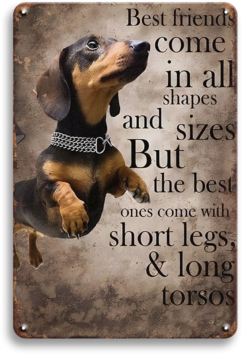 Best Friends Come In All Shapes And Sizes Wandbord 30x20cm – Dieren Tekstbord – Cadeau Dierenliefhebber – Vintage Retro Wanddecoratie