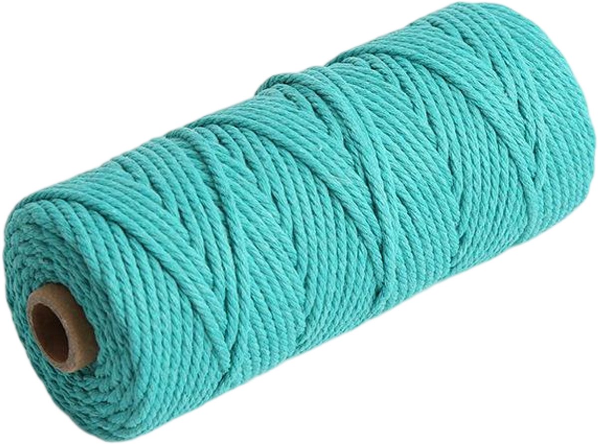 Macramétouw 3 mm x 100 m, natuurlijk katoenen draad voor wanddecoratie, plantenhangers, boho-decoratie,Meer Groen