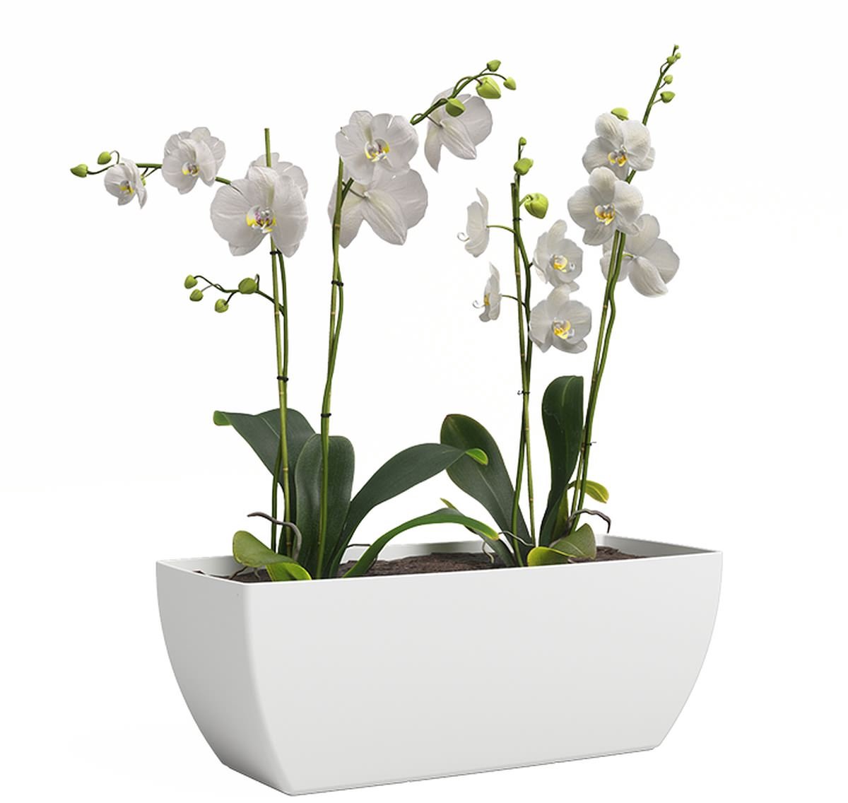 artevasi Siena bloempot wit 30 x 14,7 cm