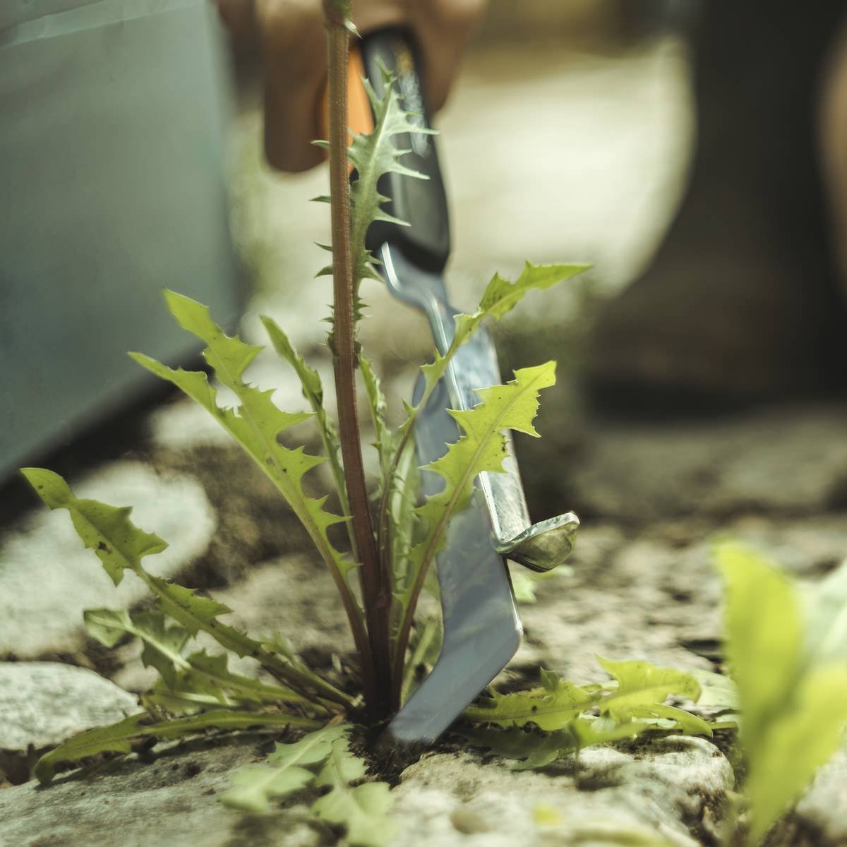 Fiskars Weeder - Weeding Knife with 2 Blades