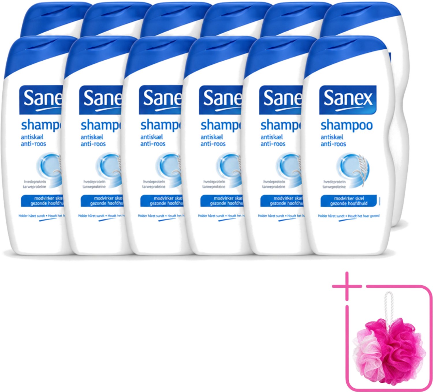 12 x Sanex - Shampoo - Anti-Roos - Tegen Schilfers - 250 ml - Bulkverpakking - Anti-roos shampoo - Douchemop - Schilfers shampoo