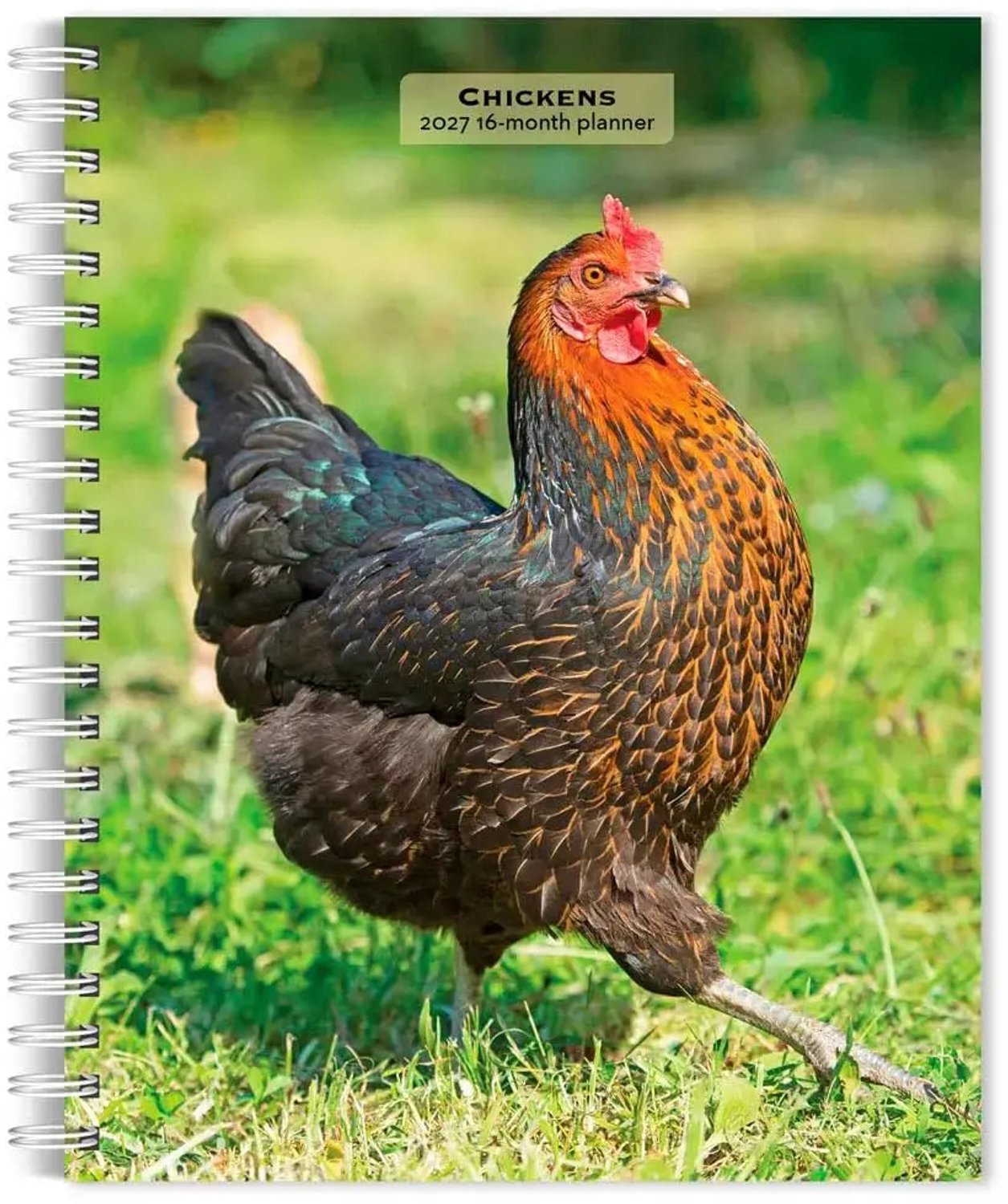 Chickens Agenda 2027