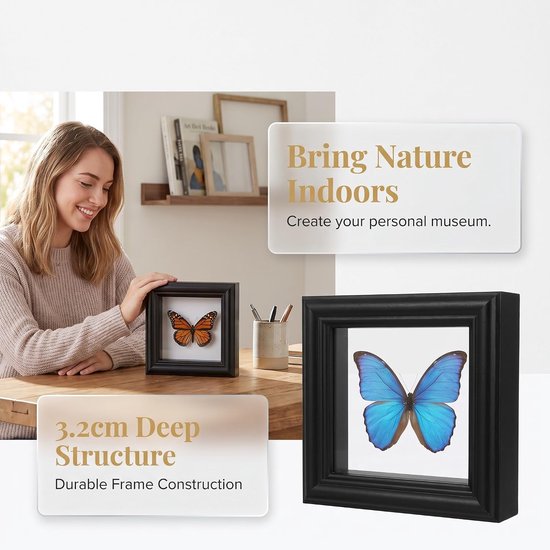 2 Stuks Butterfly Specimen Display Case Xin Shadow Box Met Transparant DIY Insect Collectie Frame Voor Natuurstudie Decoratie — afbeelding 4