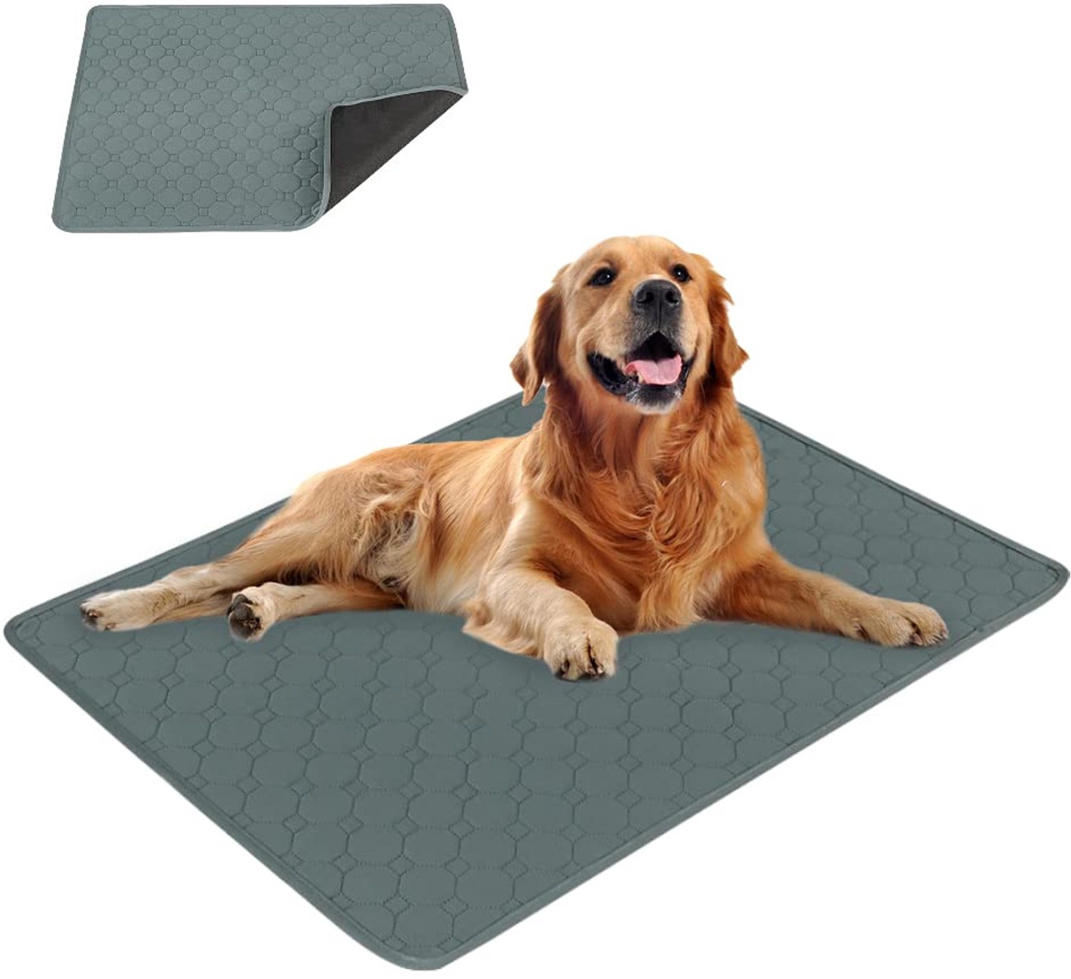 Eastlion Hygiënische Matten,Super Wasbare en Absorberende Hondenmat,Herbruikbare Matten Voor Honden en Katten(1 stuk,70x50 cm) M- Grijs