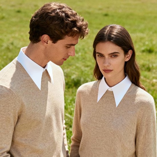 3 Stuks Nep Kraag Afneembare Half Shirt Vrouwen Half Shirt Vrouwen Nep Kraag Afneembare Blouse Valse Blouse Top — afbeelding 4