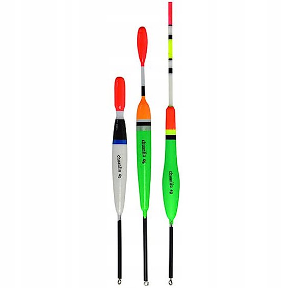 Set van 10 Vissloodjes - Diverse Gewichten en Maten — afbeelding 3