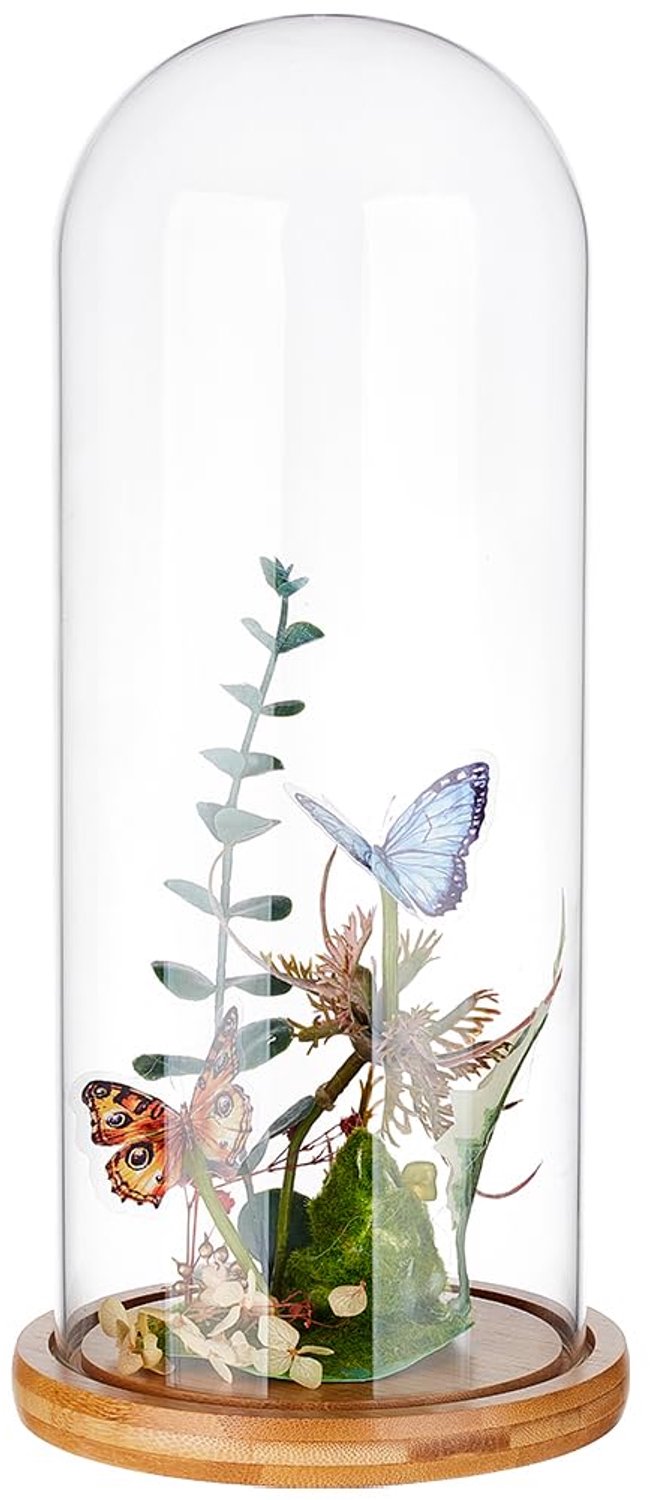 BENECREAT 11.7x30cm Eeuwige Transparante Bloem Glas Cover, Glas Display Dome Cloche Jar met Sandy Brown Massief Houten Base voor DIY Bloem Craft