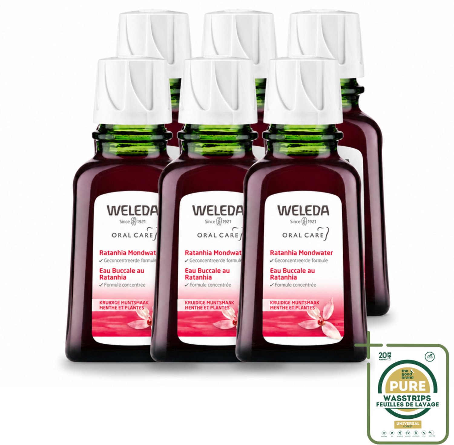 6 x WELEDA - Mondwater geconcentreerd - Ratanhia - 50 ml - Wasstrips - Mondwater - Tandvlees Verzorging - Natuurlijk Mondwater - Mondverzorging - Mondverzorging Voor Gezond Tandvlees