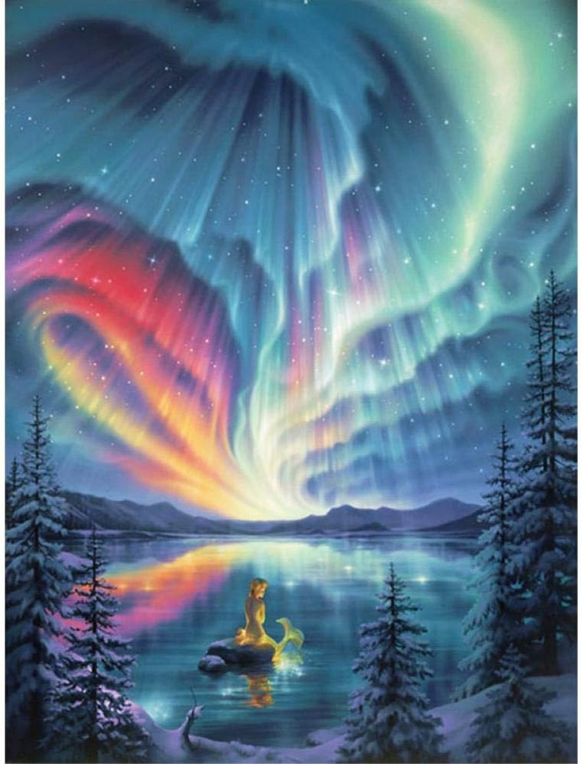 Volledige vierkante diamanten schilderij bloem 5D DIY Diamond Embroidery Art Kit Winter aurora Home Decor Art Gift Frameless-40X50CM