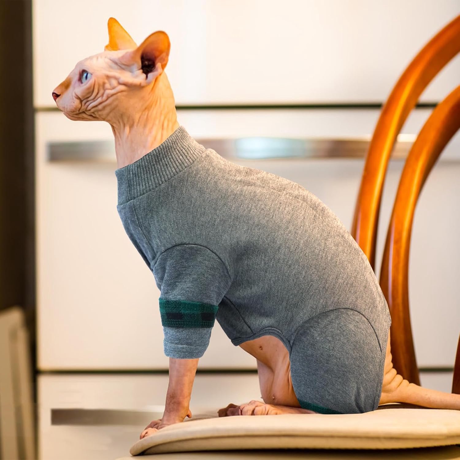 Kleding, katoenen kattenonesie, warme zachte trui met snapsluiting op de rug, rekbare haarloze kattentrui, lichte winterpyjama voor binnenkatten, comfortabele herfstoutfit, grijs