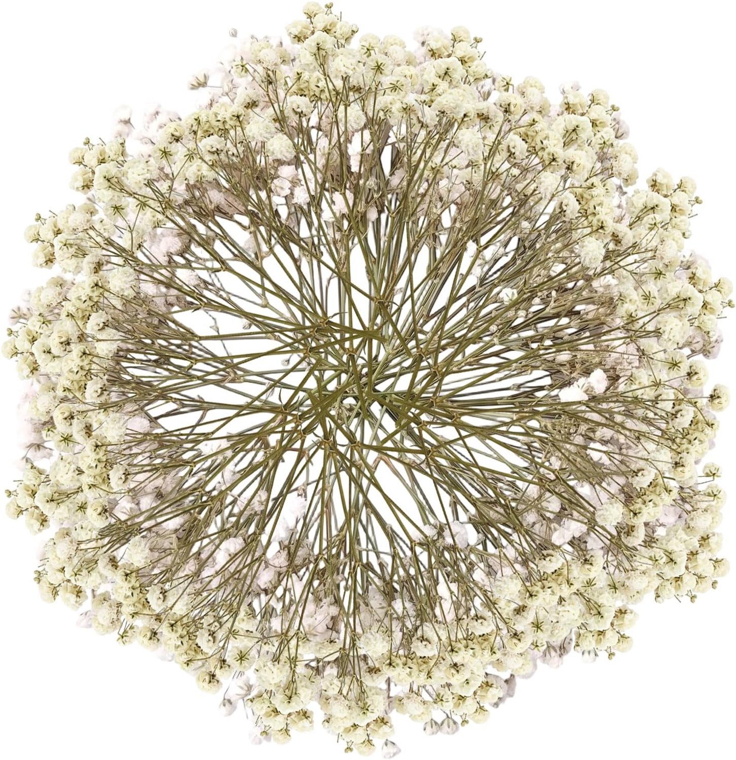 100 stuk gipsophile kunstbloemen - gedroogde bloemen wit - groene steel - perfect voor decoratie - Vemera