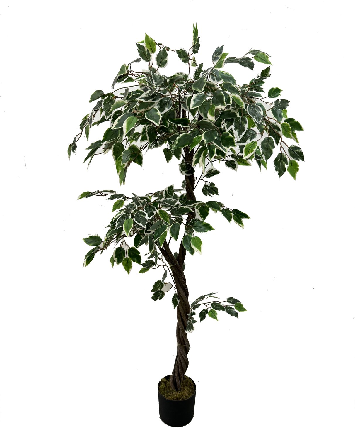 homebound by ky Kunstplant ficus 150cm | 150cm | plant voor binnen Groen