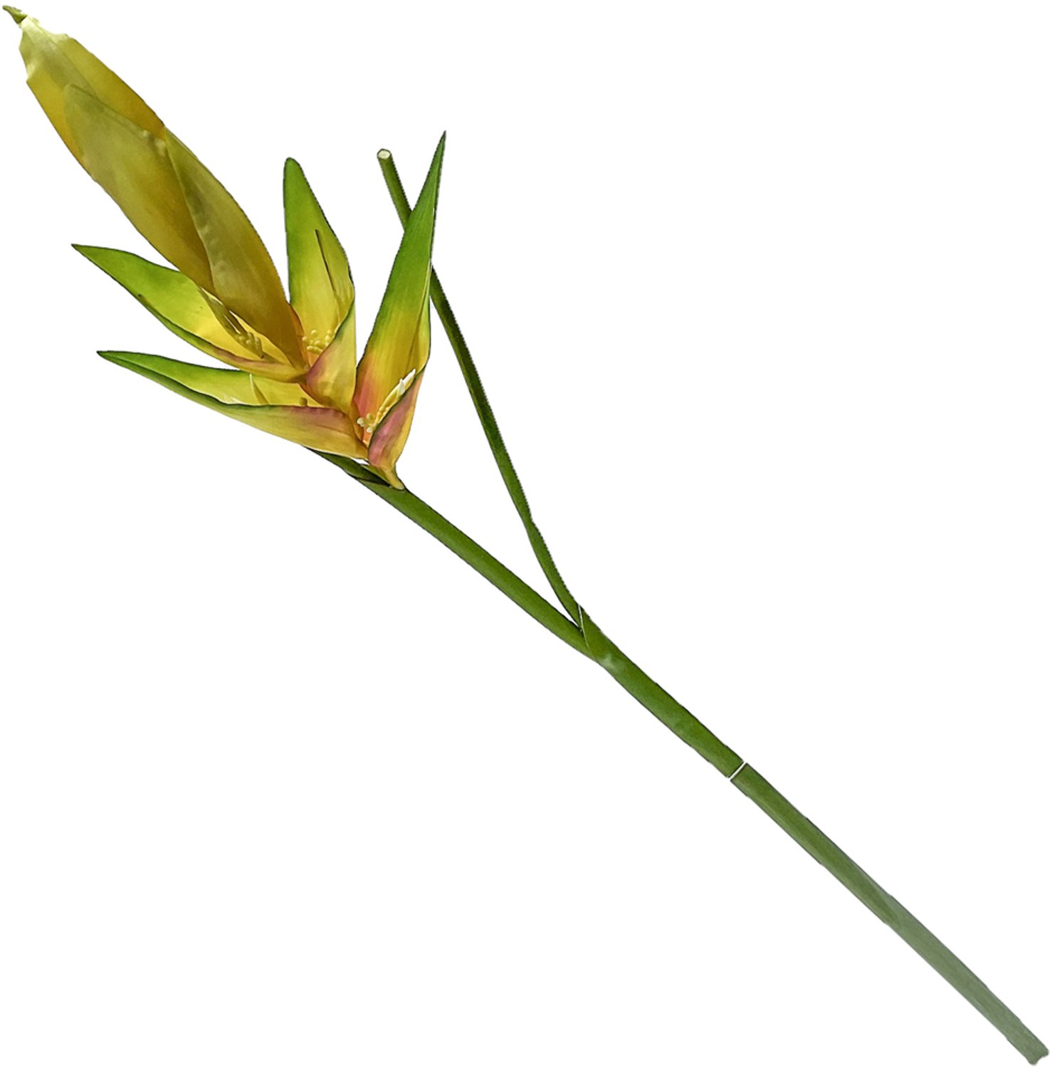 homebound by ky Kunstbloem Heliconia geel | 99cm | kunstbloem