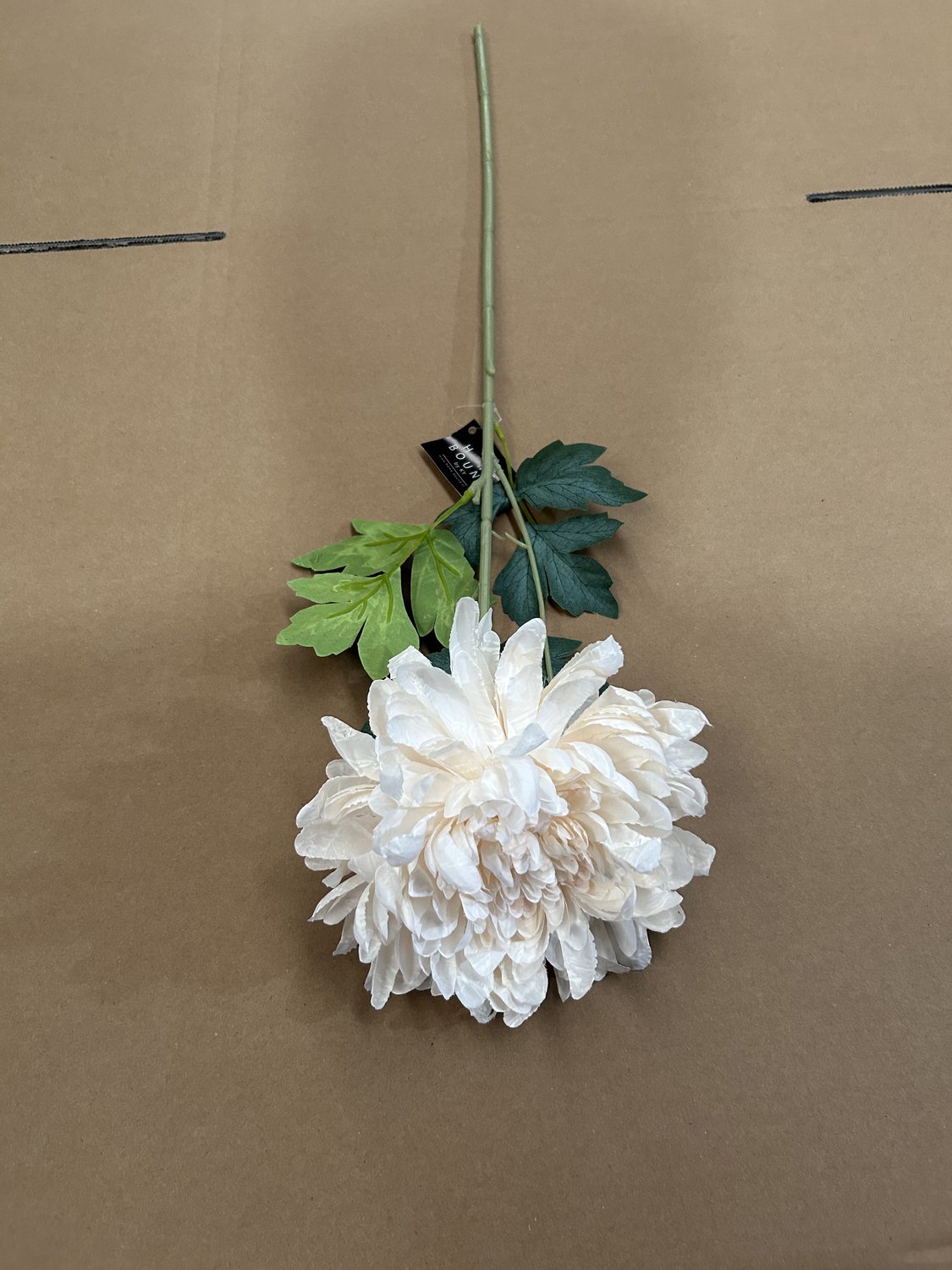 Kunstbloem gedroogde chrysant 64cm creme