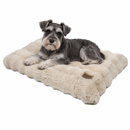 Grijze hond liggend op een beige pluche matras tegen een witte achtergrond.