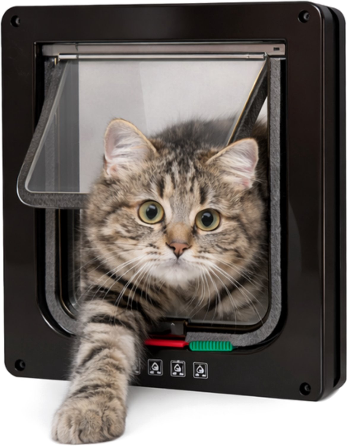 Bol.com AnimalAesthetics Kattenluik met Tunnel - Kattendeur 4 Standen - Magneetsluiting - Maat L - Zwart aanbieding